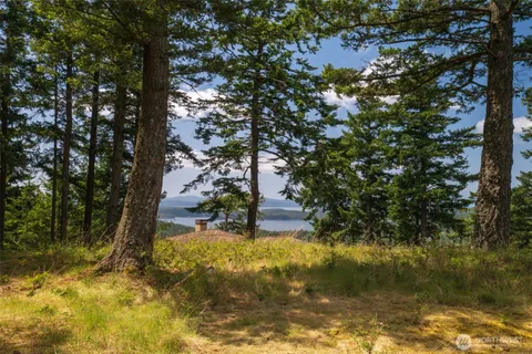 a view of a yard with trees