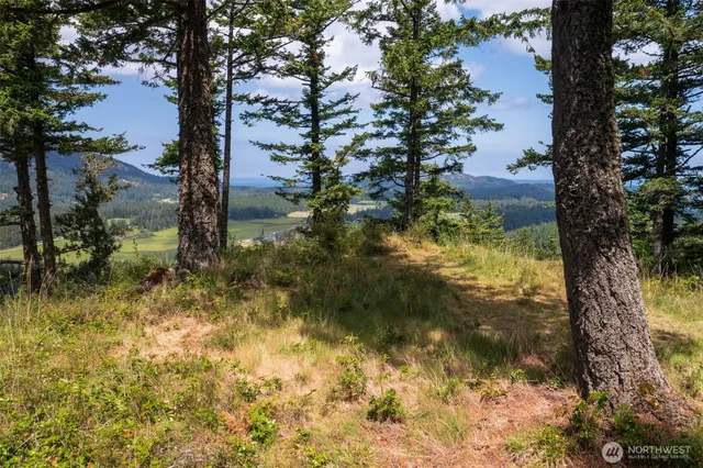 a view of residential houses with outdoor space