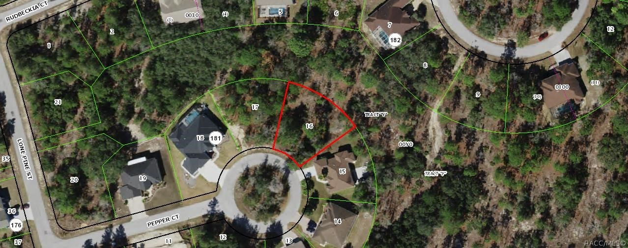 9 Pepper Court Homosassa, FL 34446 - Photo 1 of 1 Aerial View of the lot