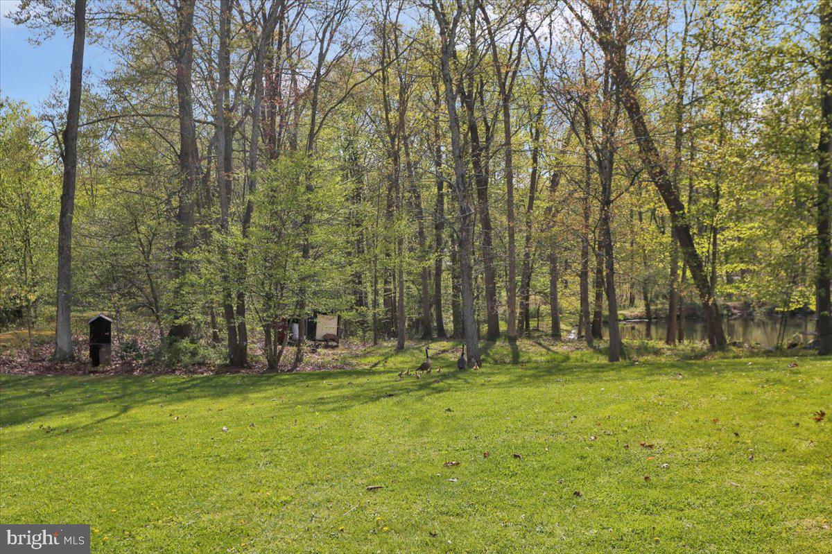 448 Weaver Road Morgantown, PA 19543 - Photo 47 of 58 Gallery Image 47