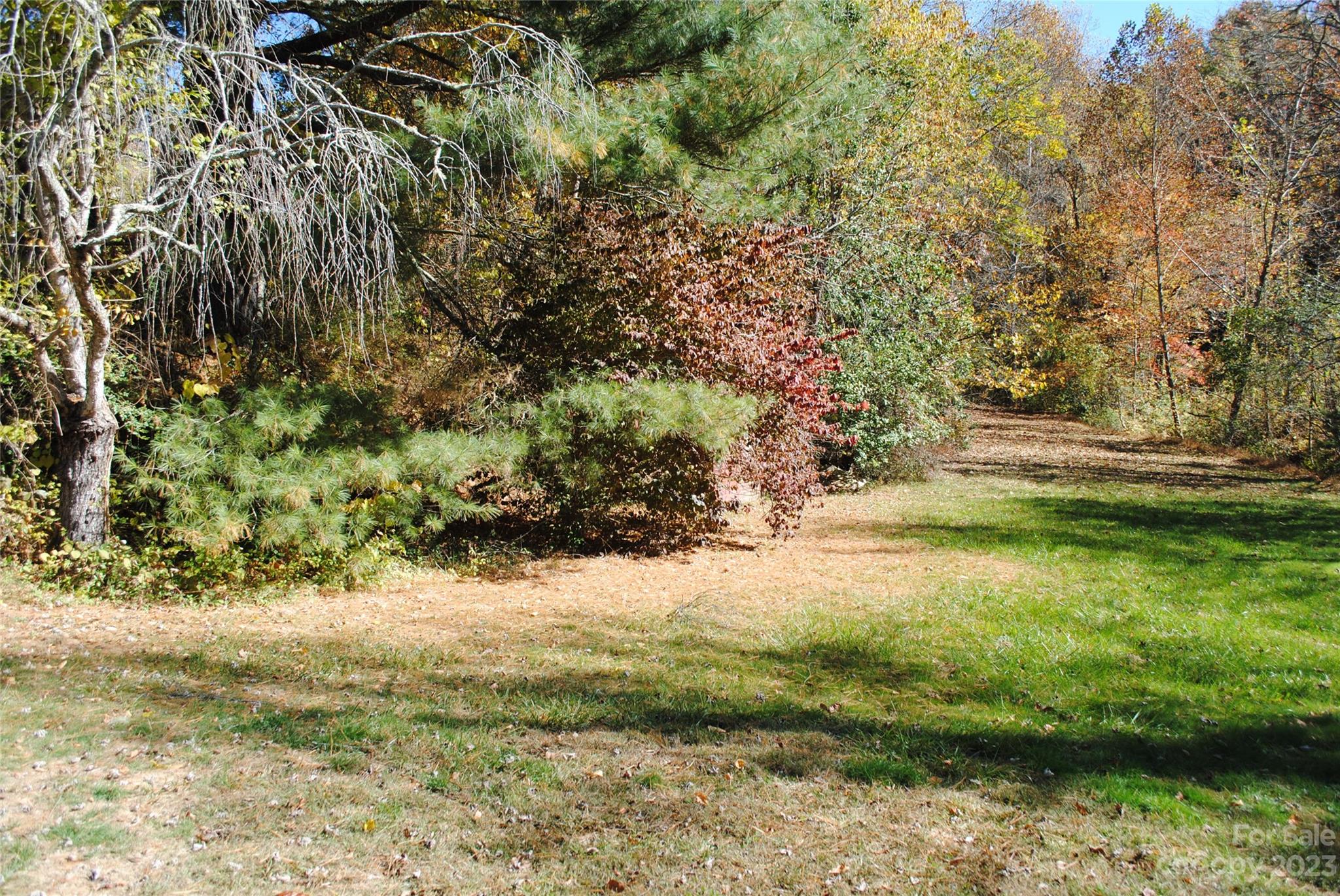 164 Bennett Road Candler, NC 28715 - Photo 32 of 43 Gallery Image 32