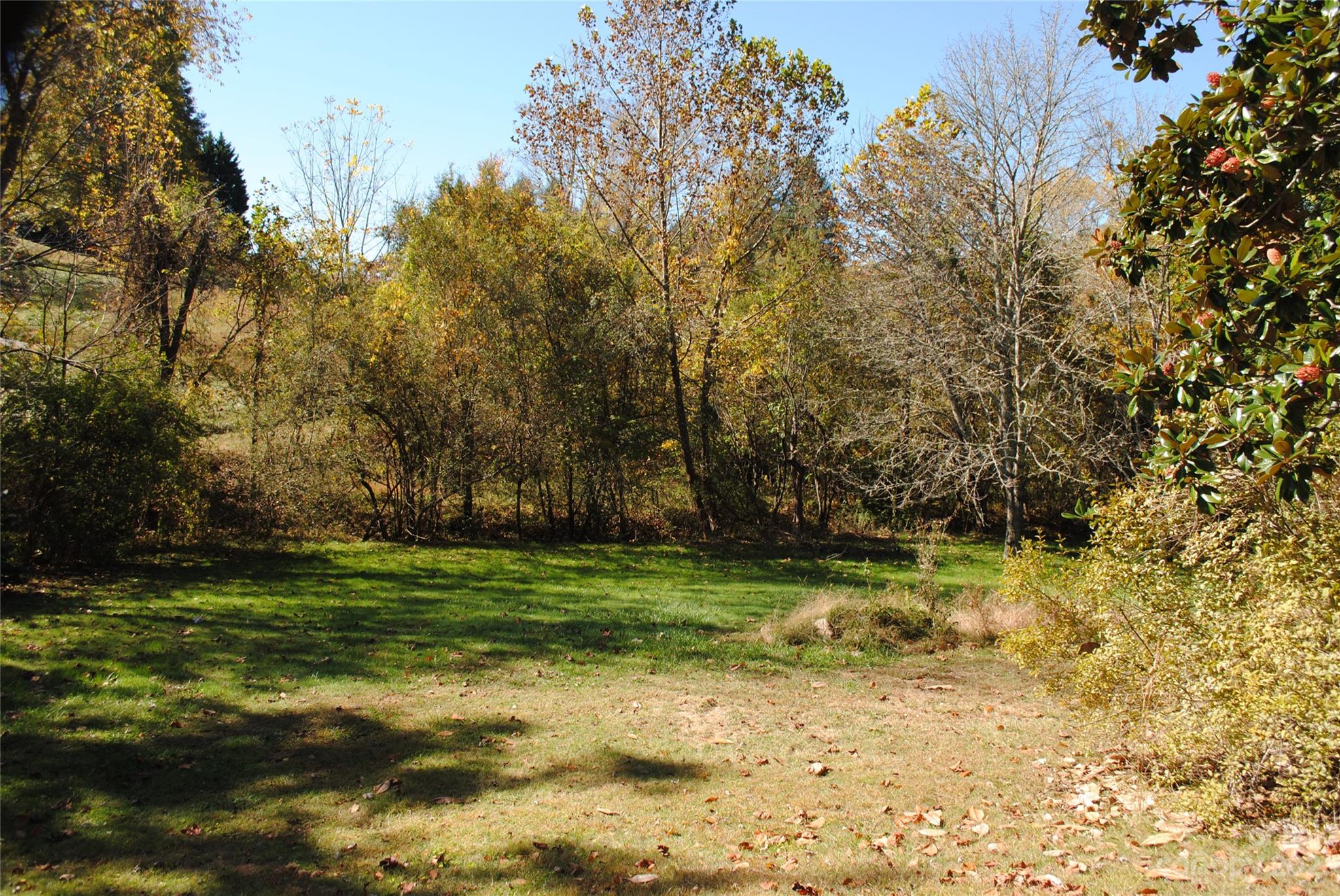 164 Bennett Road Candler, NC 28715 - Photo 36 of 43 Gallery Image 36