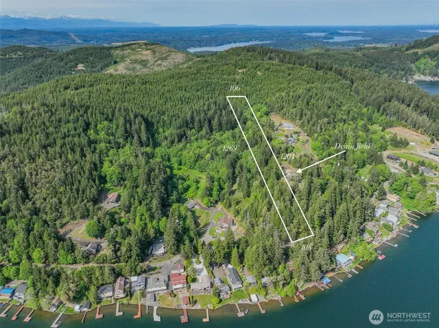a view of a lush green forest with a lake