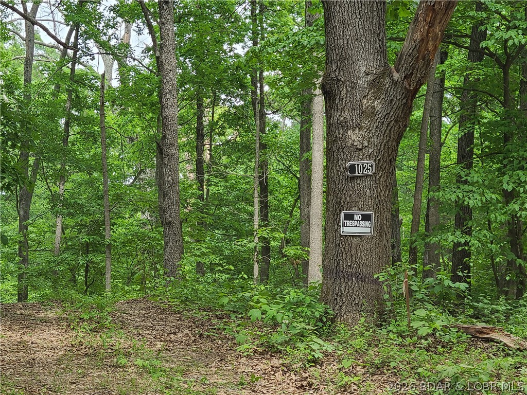 31025 Broken Circle Road Stover, MO 65078 - Photo 26 of 32 Turn at this tree and follow car path down to the