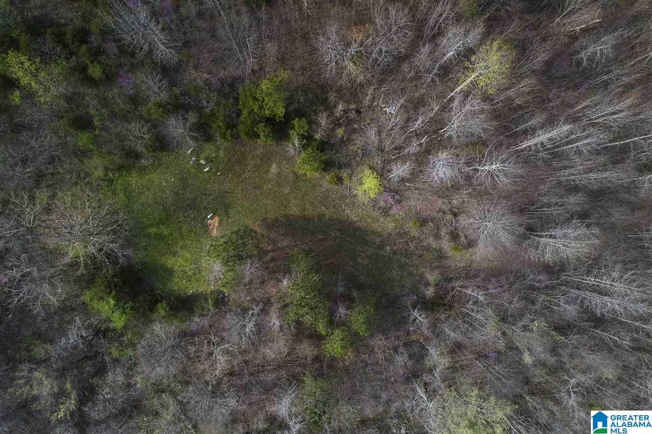 0 Joy Road Blountsville, AL 35031 - Photo 13 of 22