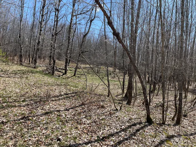 $230,000 | Lot 3 Rt 16, Moscow, ME 04920