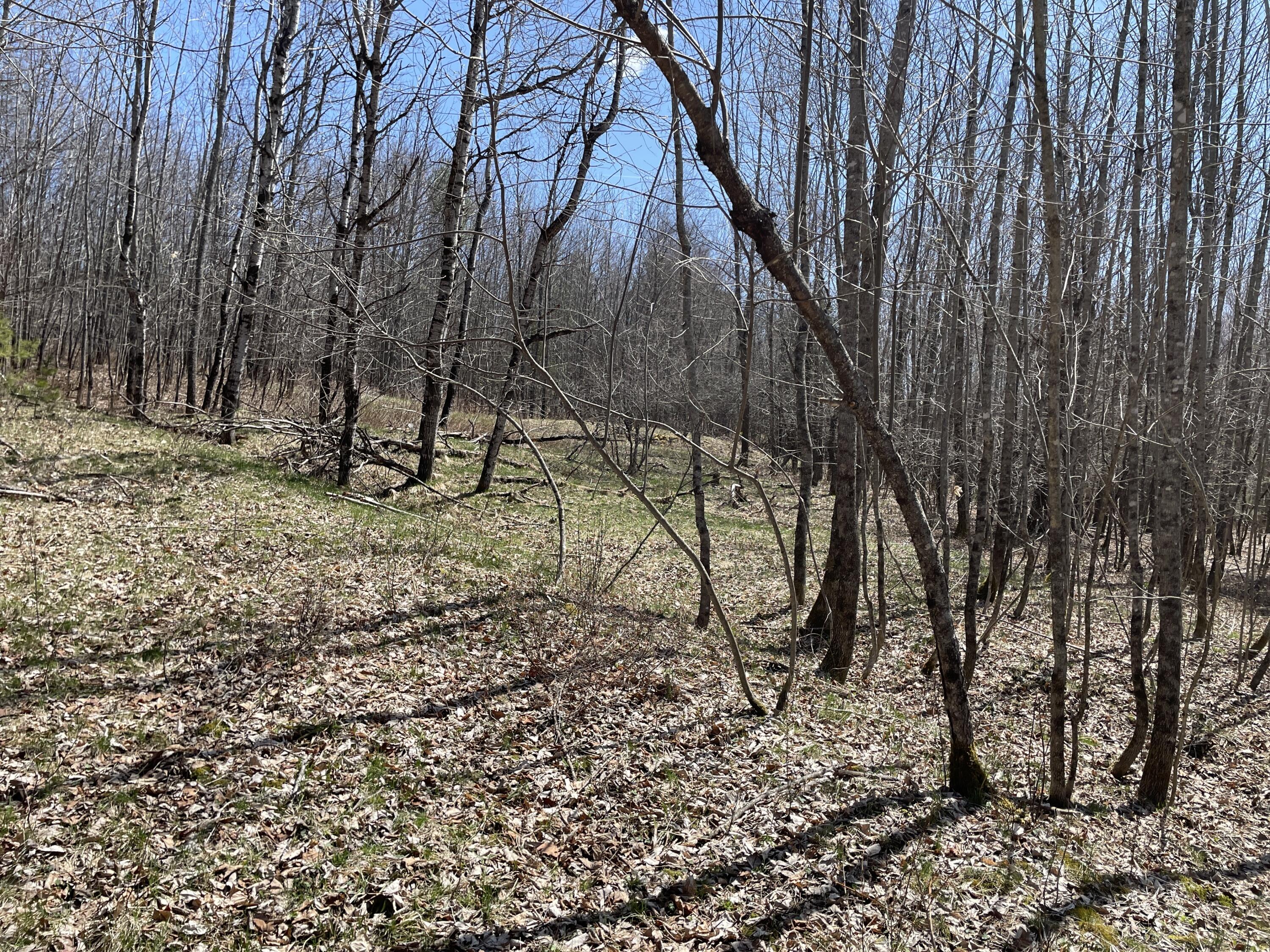 Lot 3 Rt 16 Moscow, ME 04920 - Photo 11 of 18 IMG_3196