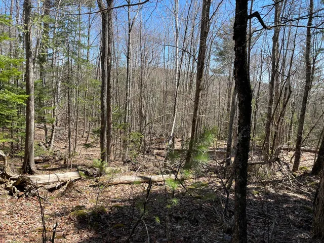 $230,000 | Lot 3 Rt 16, Moscow, ME 04920