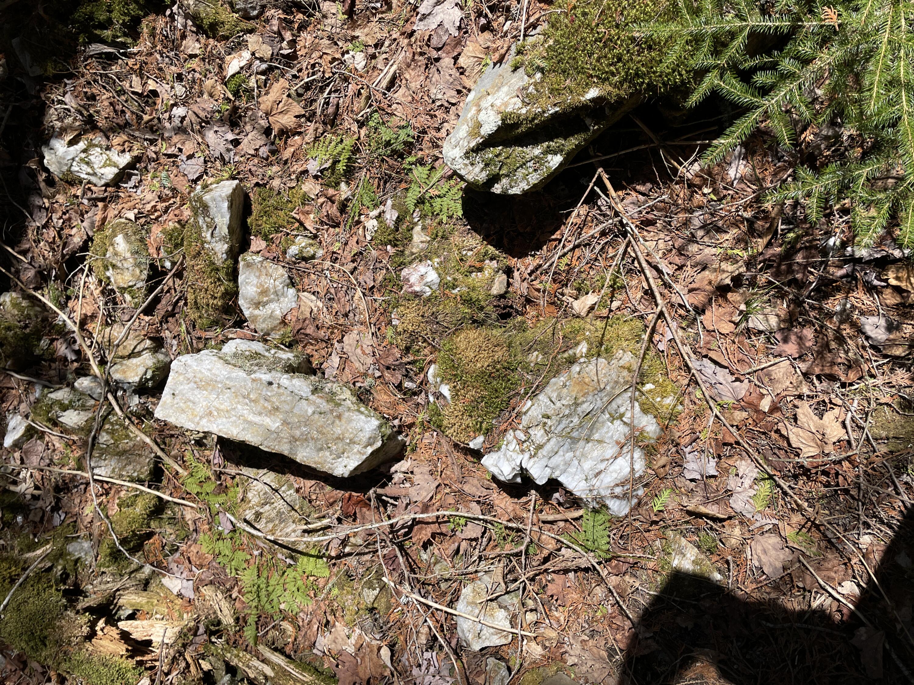 Lot 3 Rt 16 Moscow, ME 04920 - Photo 13 of 18 IMG_3260