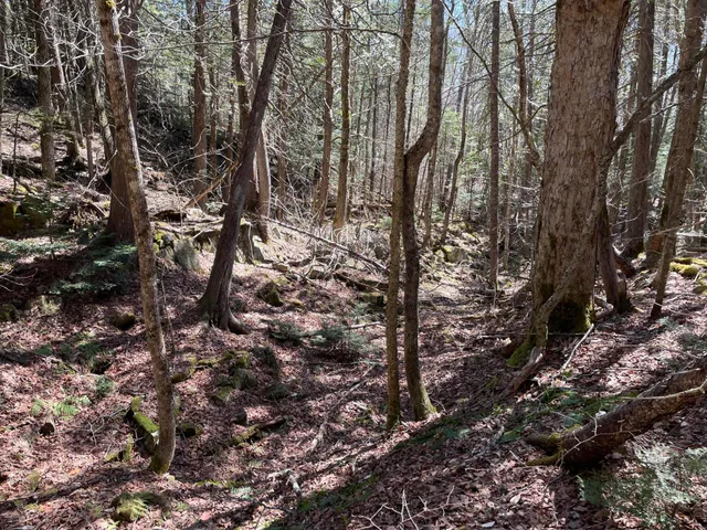 $230,000 | Lot 3 Rt 16, Moscow, ME 04920