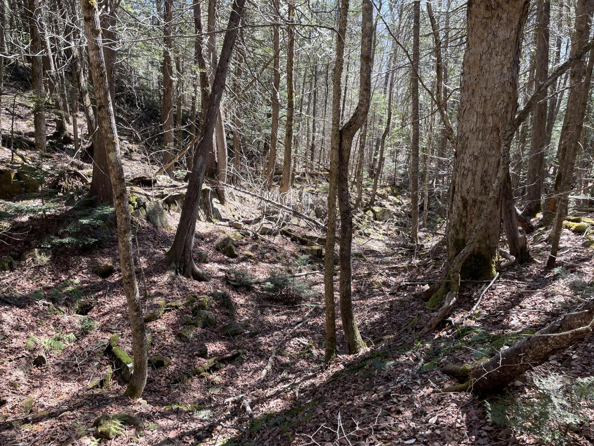 Lot 3 Rt 16 Moscow, ME 04920 - Photo 14 of 18 IMG_3259