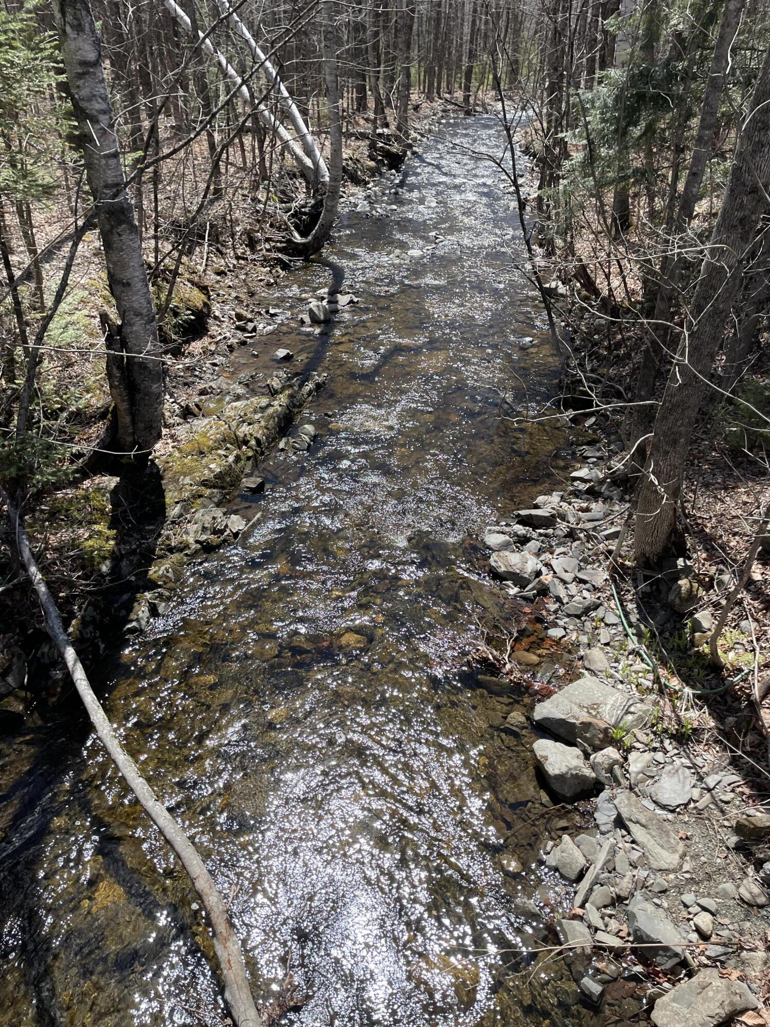 Lot 3 Rt 16 Moscow, ME 04920 - Photo 6 of 18 IMG_3205