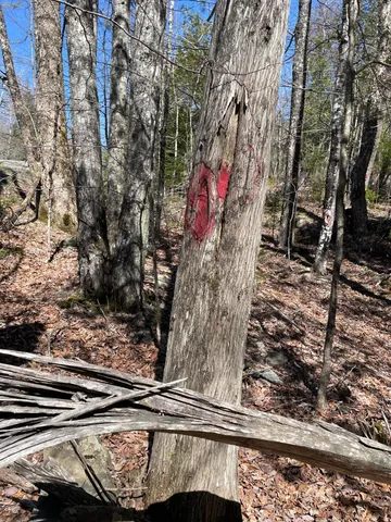 $230,000 | Lot 3 Rt 16, Moscow, ME 04920