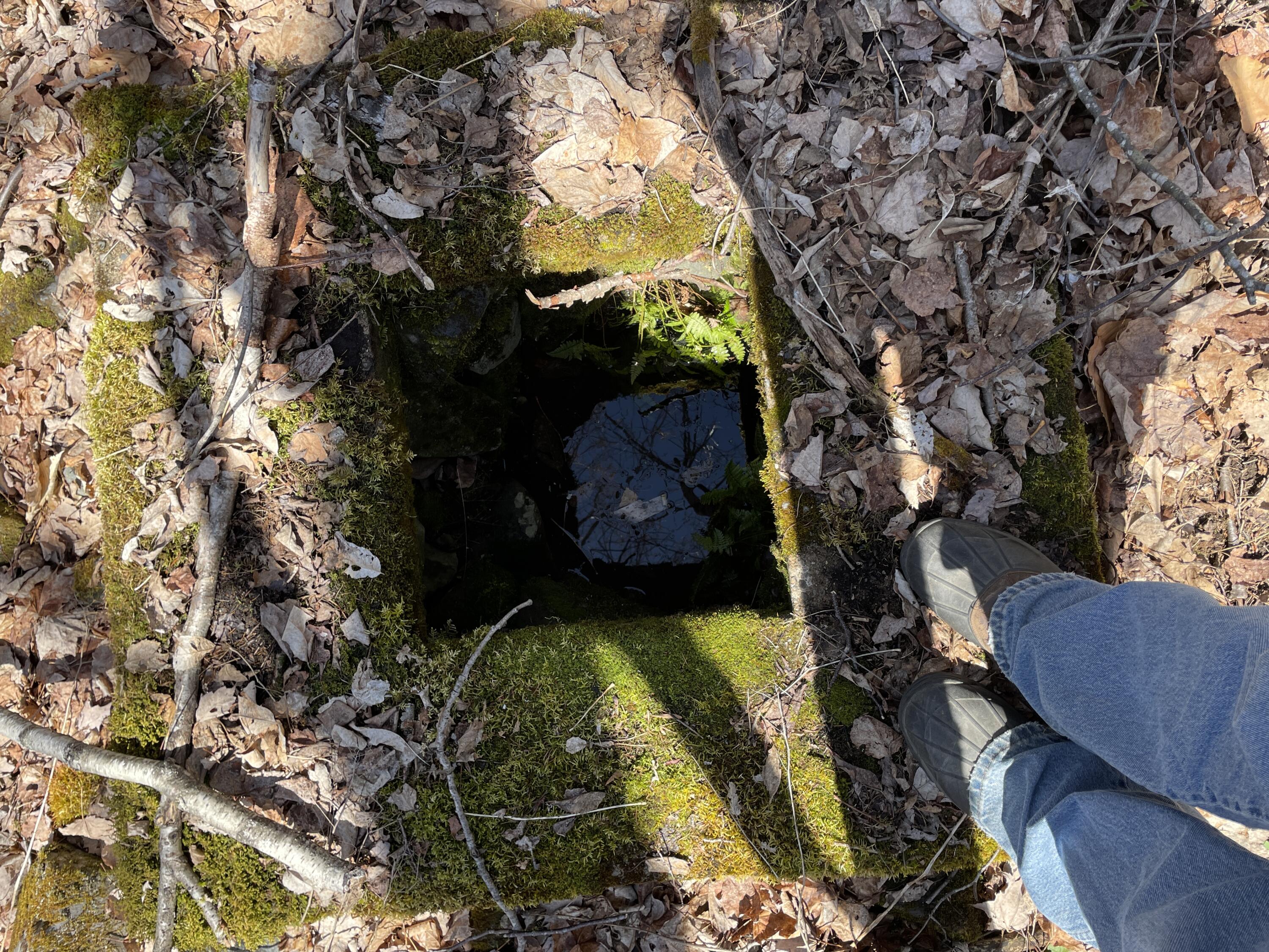 Lot 3 Rt 16 Moscow, ME 04920 - Photo 10 of 18 IMG_3190