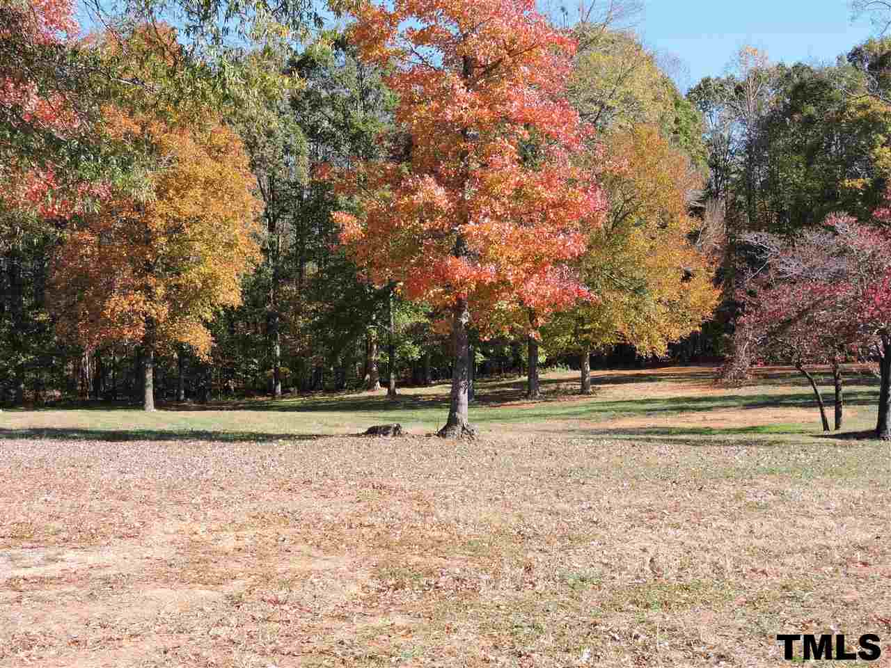 5119 Green Riley Road Rougemont, NC 27572 - Photo 19 of 25 a view of outdoor space with trees