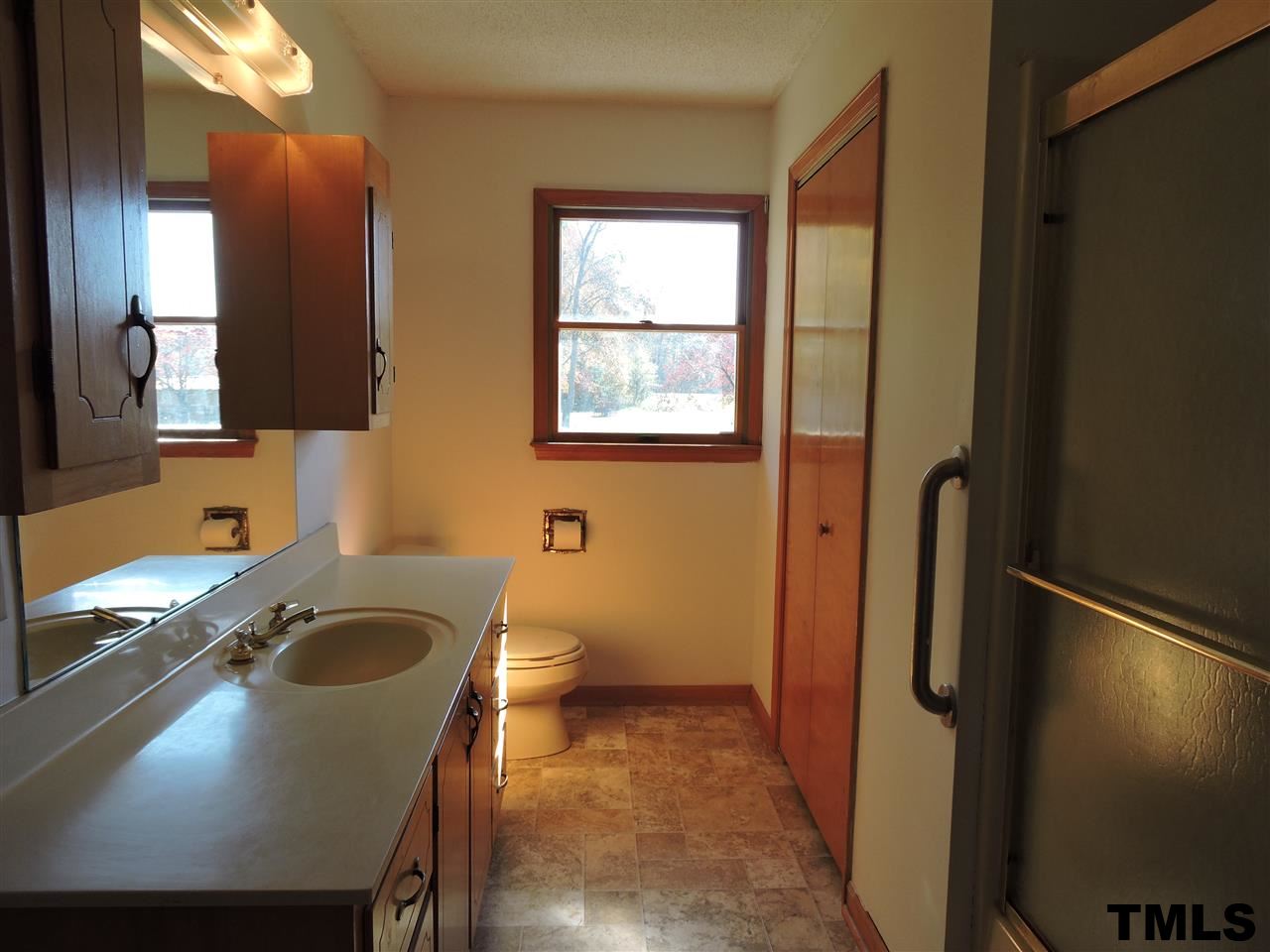5119 Green Riley Road Rougemont, NC 27572 - Photo 6 of 25 a bathroom with a sink a toilet and a mirror