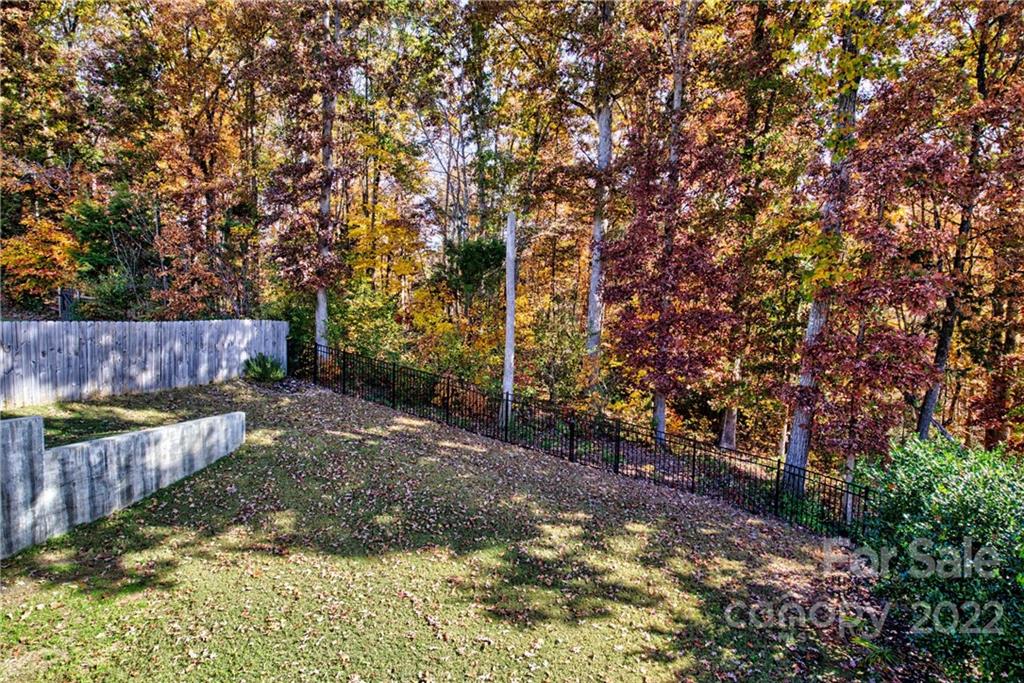 6170 Durango Way Denver, NC 28037 - Photo 38 of 38