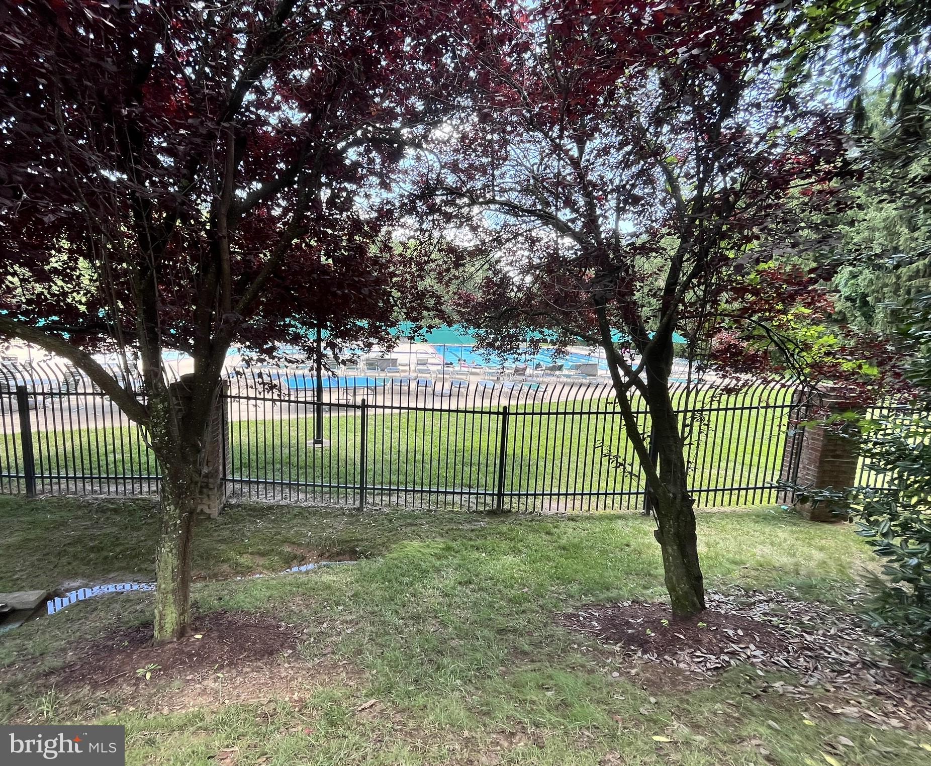 7809 Fox Gate Court Bethesda, MD 20817 - Photo 37 of 42 a view of a yard with a trees