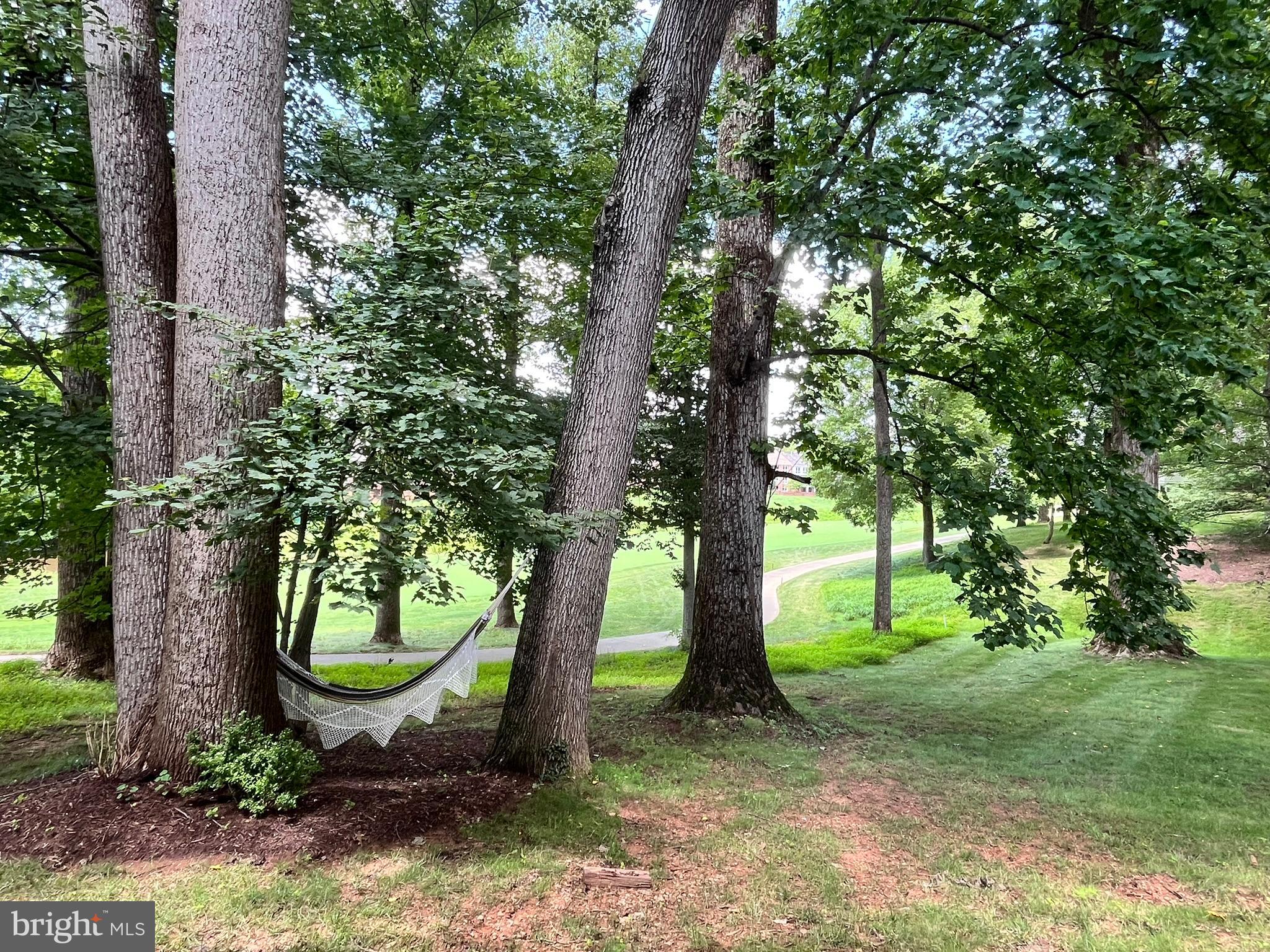7809 Fox Gate Court Bethesda, MD 20817 - Photo 41 of 42 a view of a garden with a tree