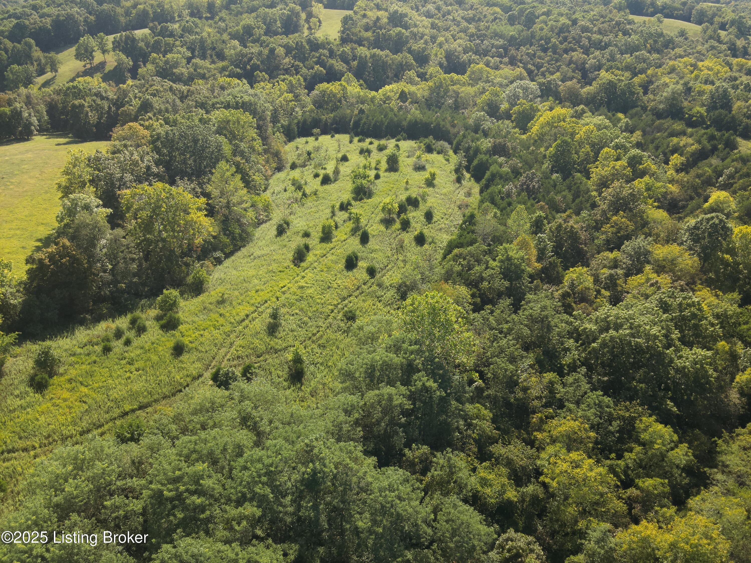 3683 Chaplin Road Willisburg, KY 40078 - Photo 26 of 37 DJI_20250908164143_0013_W