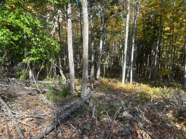 $44,900 | 75 Twin Oaks Drive, St. Albans, ME 04971