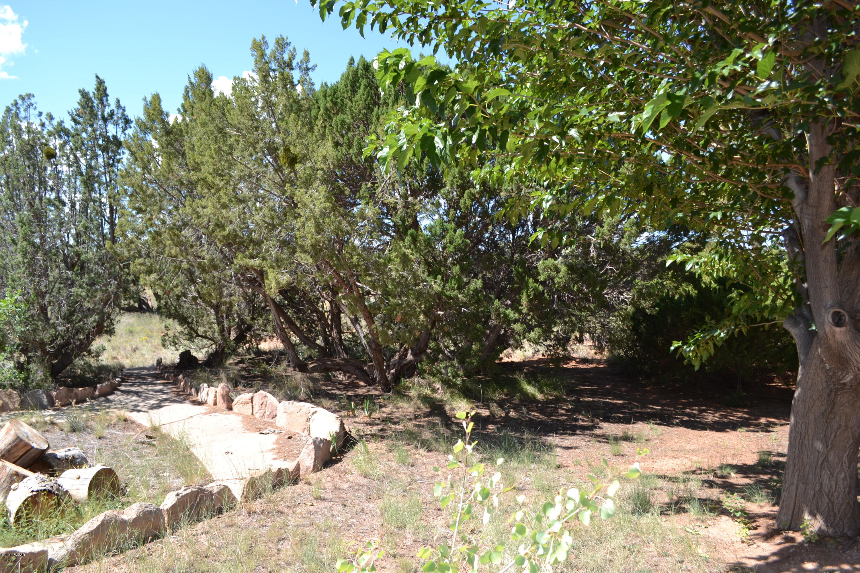 3887 Hidden Ranch Road Snowflake, AZ 85937 - Photo 29 of 68