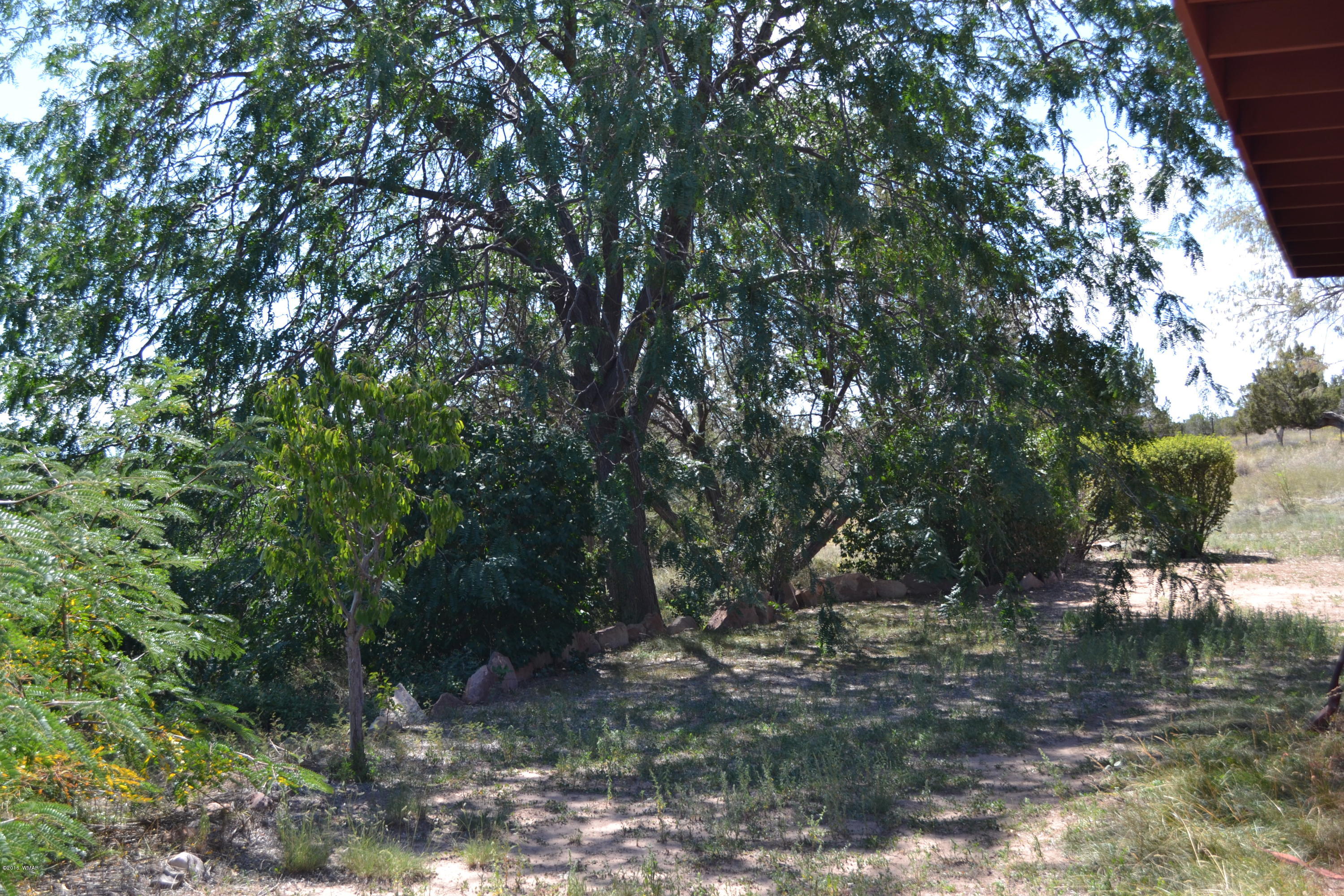 3887 Hidden Ranch Road Snowflake, AZ 85937 - Photo 52 of 68