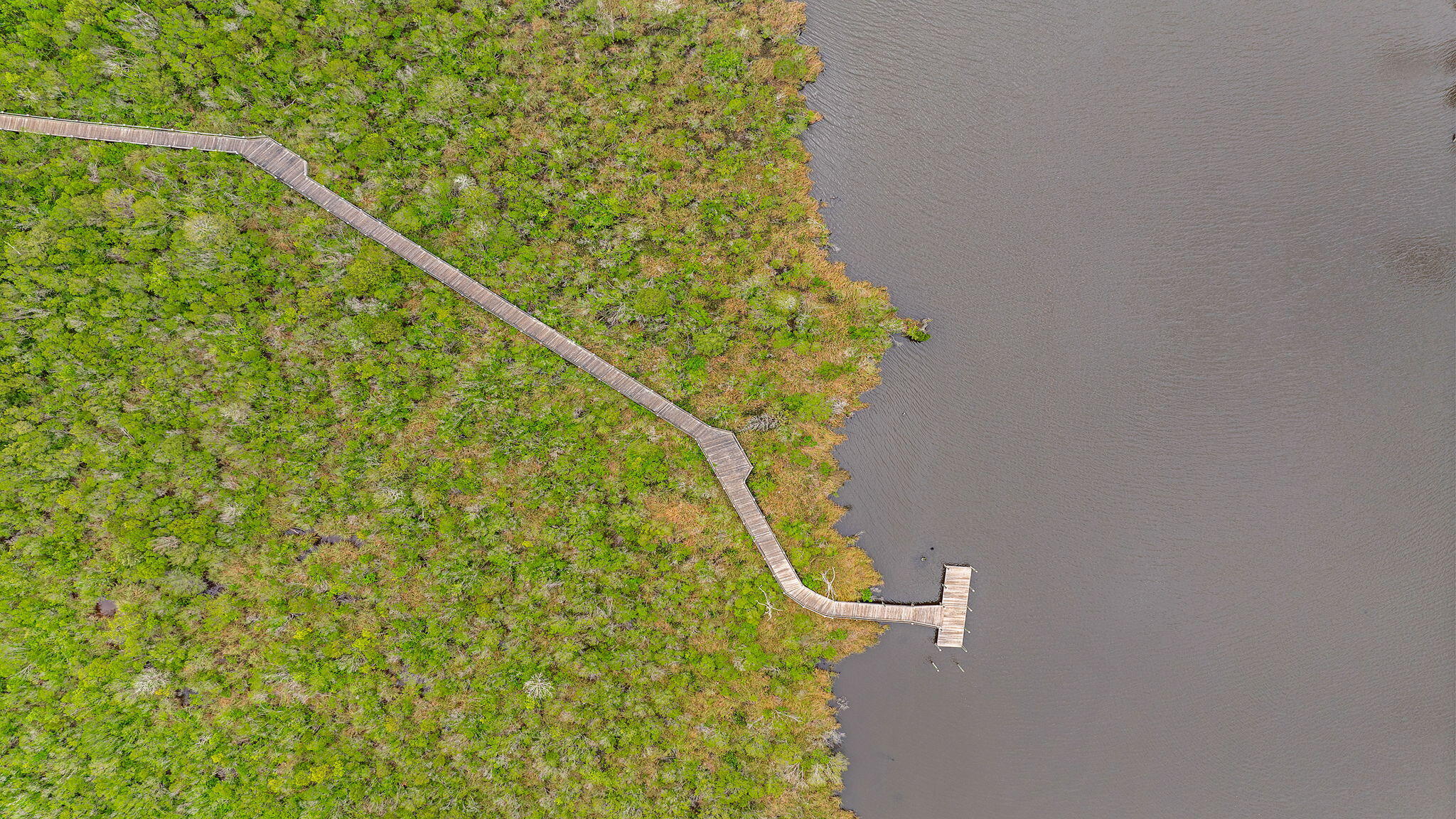 255 Riverwalk Circle Freeport, FL 32439 - Photo 37 of 40 a view of a plant in a garden
