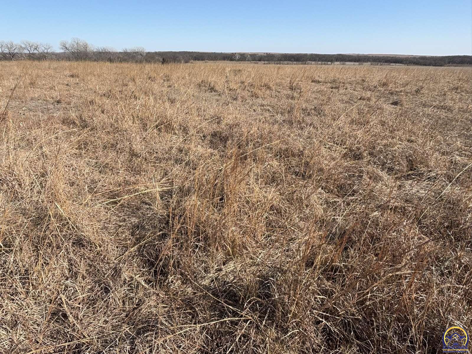 1175 Cedar Creek Road Cedar Point, KS 66843 - Photo 2 of 73 Gallery Image 2