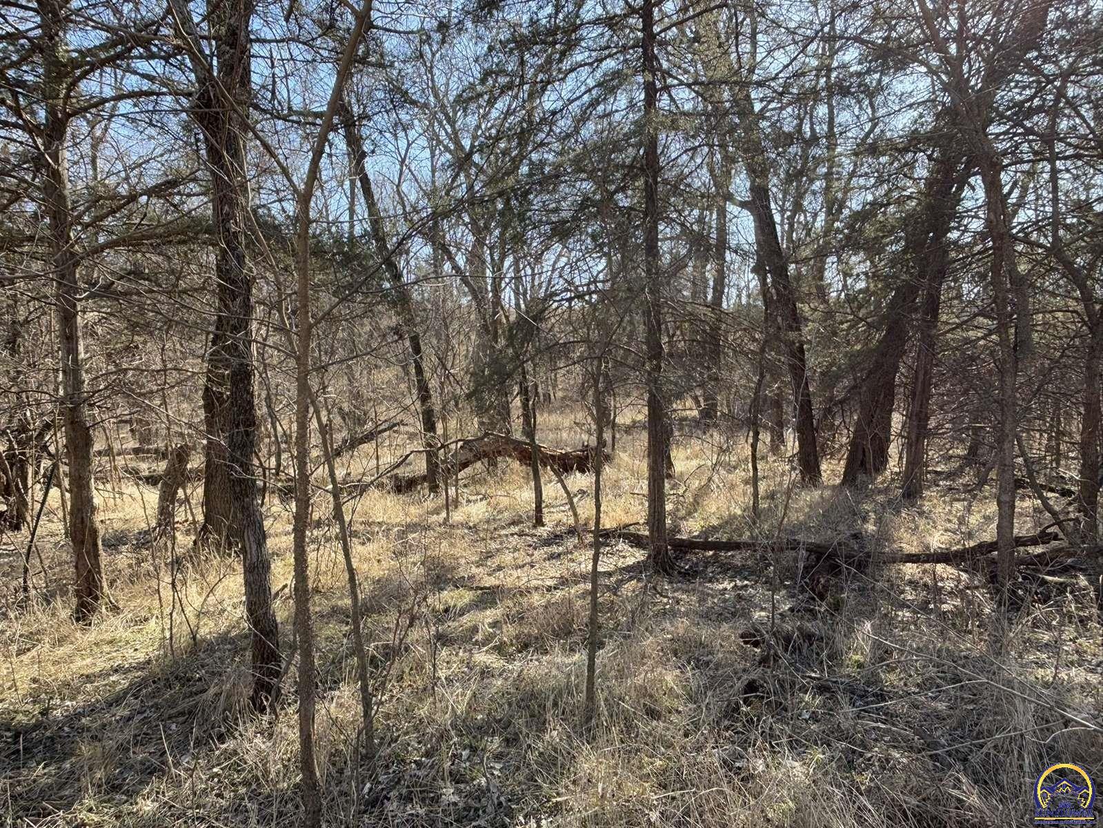 1175 Cedar Creek Road Cedar Point, KS 66843 - Photo 25 of 73 Gallery Image 25