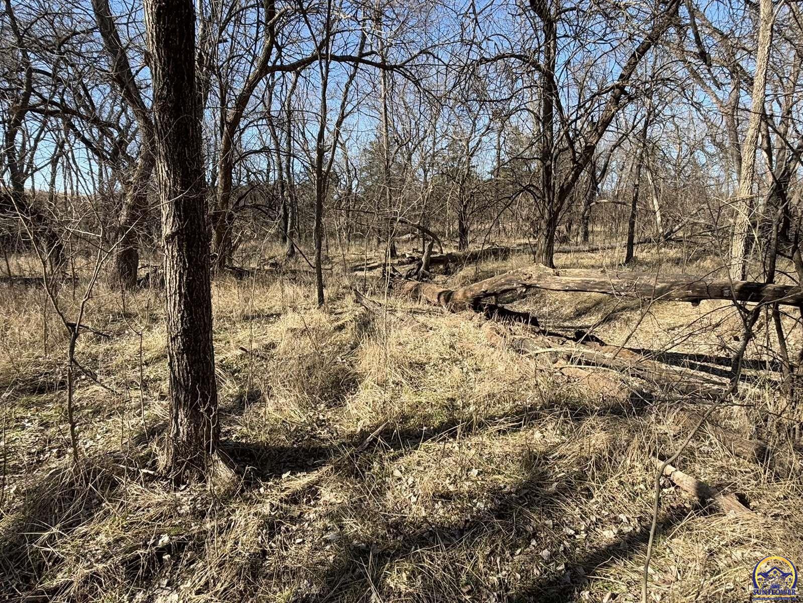 1175 Cedar Creek Road Cedar Point, KS 66843 - Photo 29 of 73 Gallery Image 29