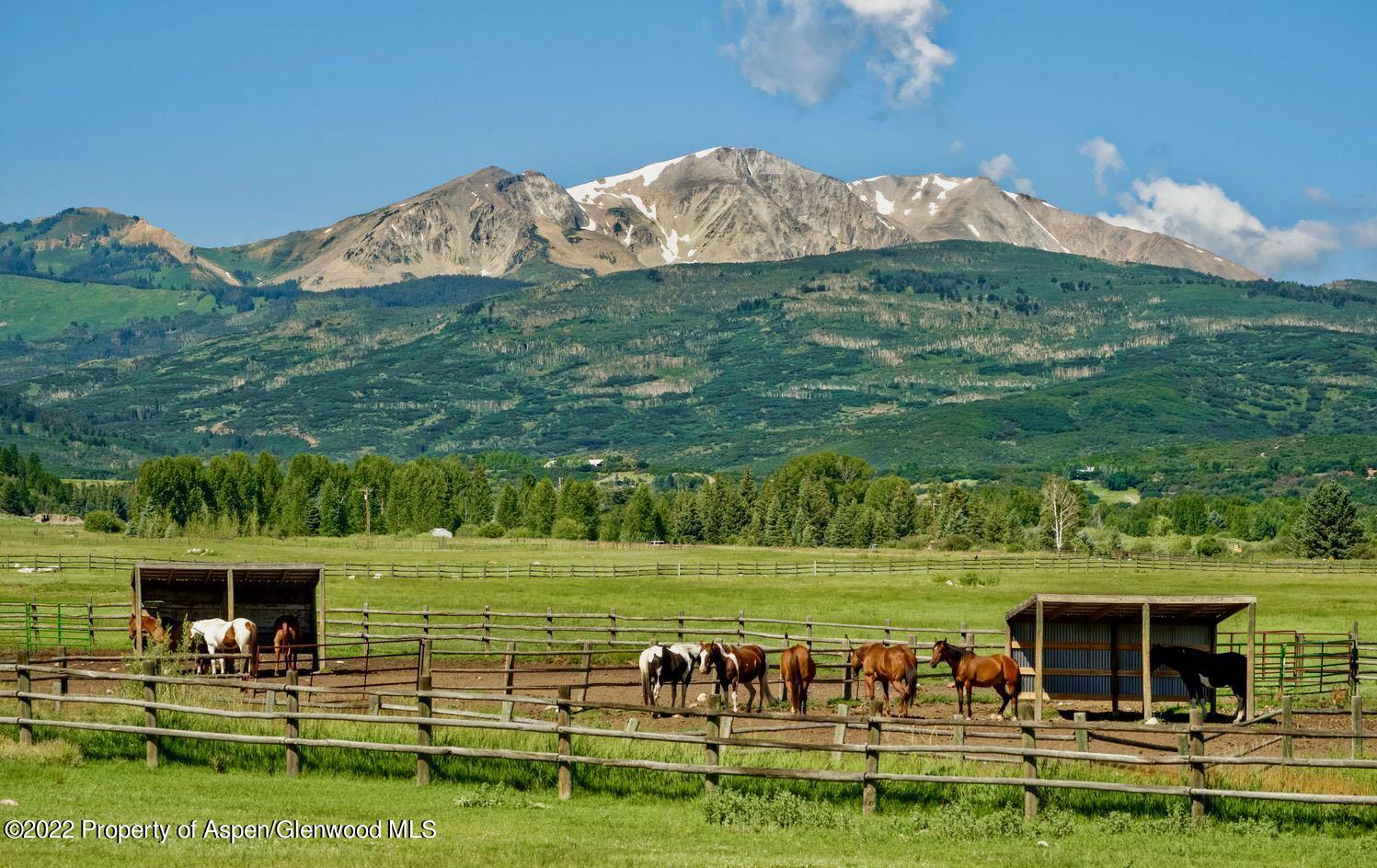 900 Lazy O Road Snowmass, CO 81654 - Photo 27 of 30 Horses in the Pasture
