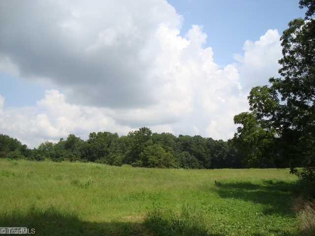 0 Shepherd Road Elon, NC 27244 - Photo 1 of 3 Other. Pasture