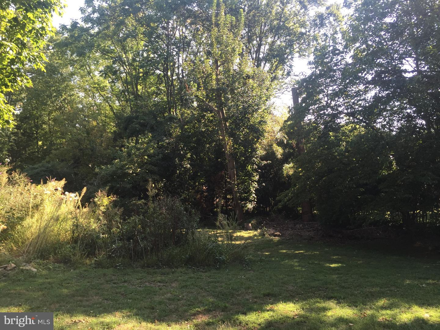 21 Home Road Hatboro, PA 19040 - Photo 21 of 25 Back Yard