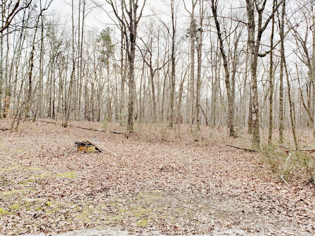 305 Pickle Road Ten Mile, TN 37880 - Photo 39 of 40 20200122_112652