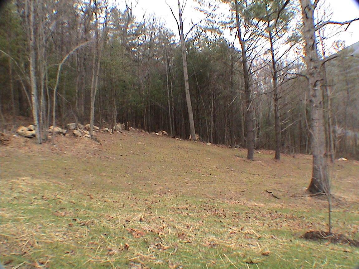 5521 Peaceful Valley Road New Castle, VA 24127 - Photo 4 of 7 Yard