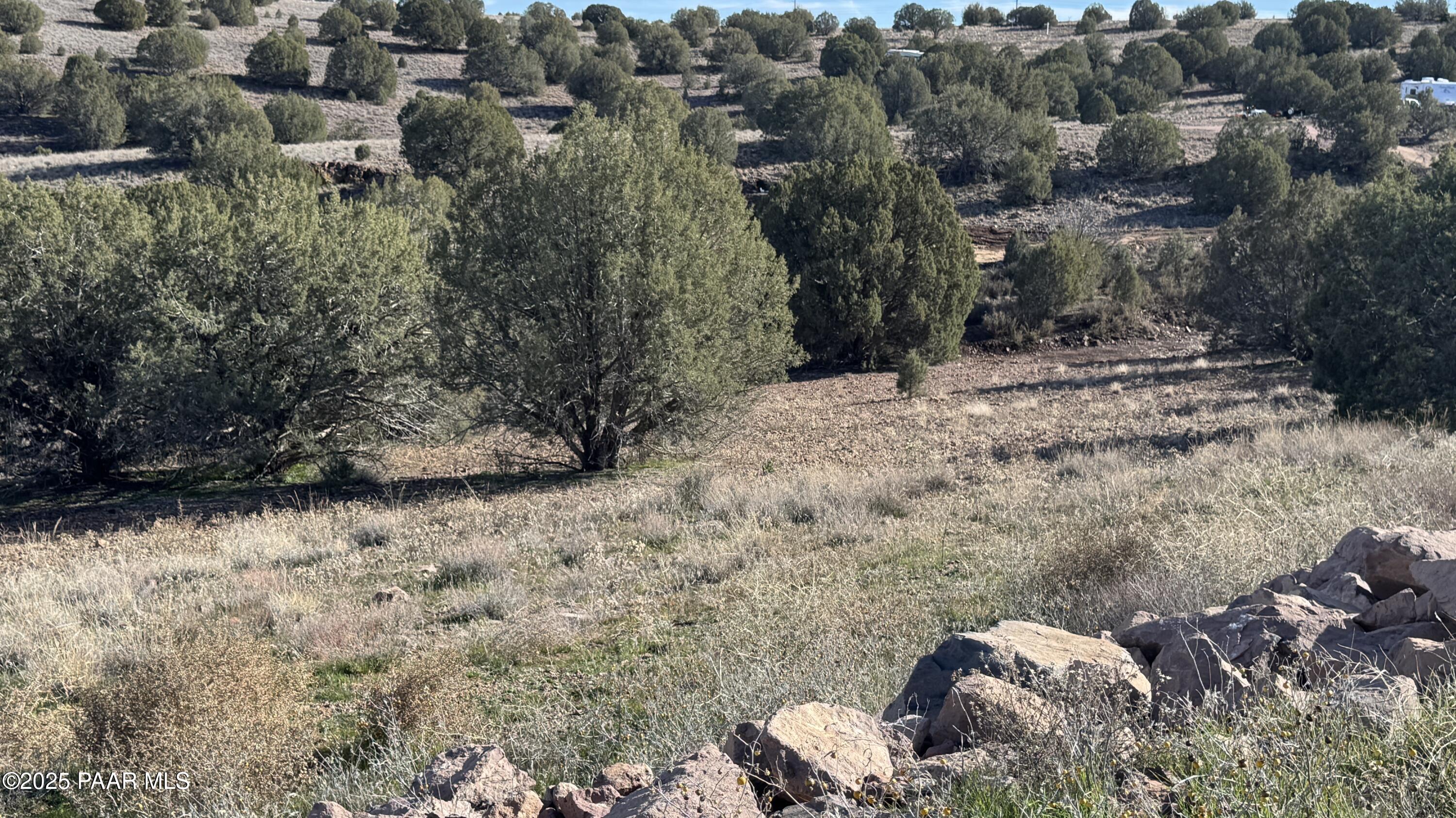 0 North Gray Gos Road Chino Valley, AZ 86323 - Photo 2 of 8 a view of a tree with a yard