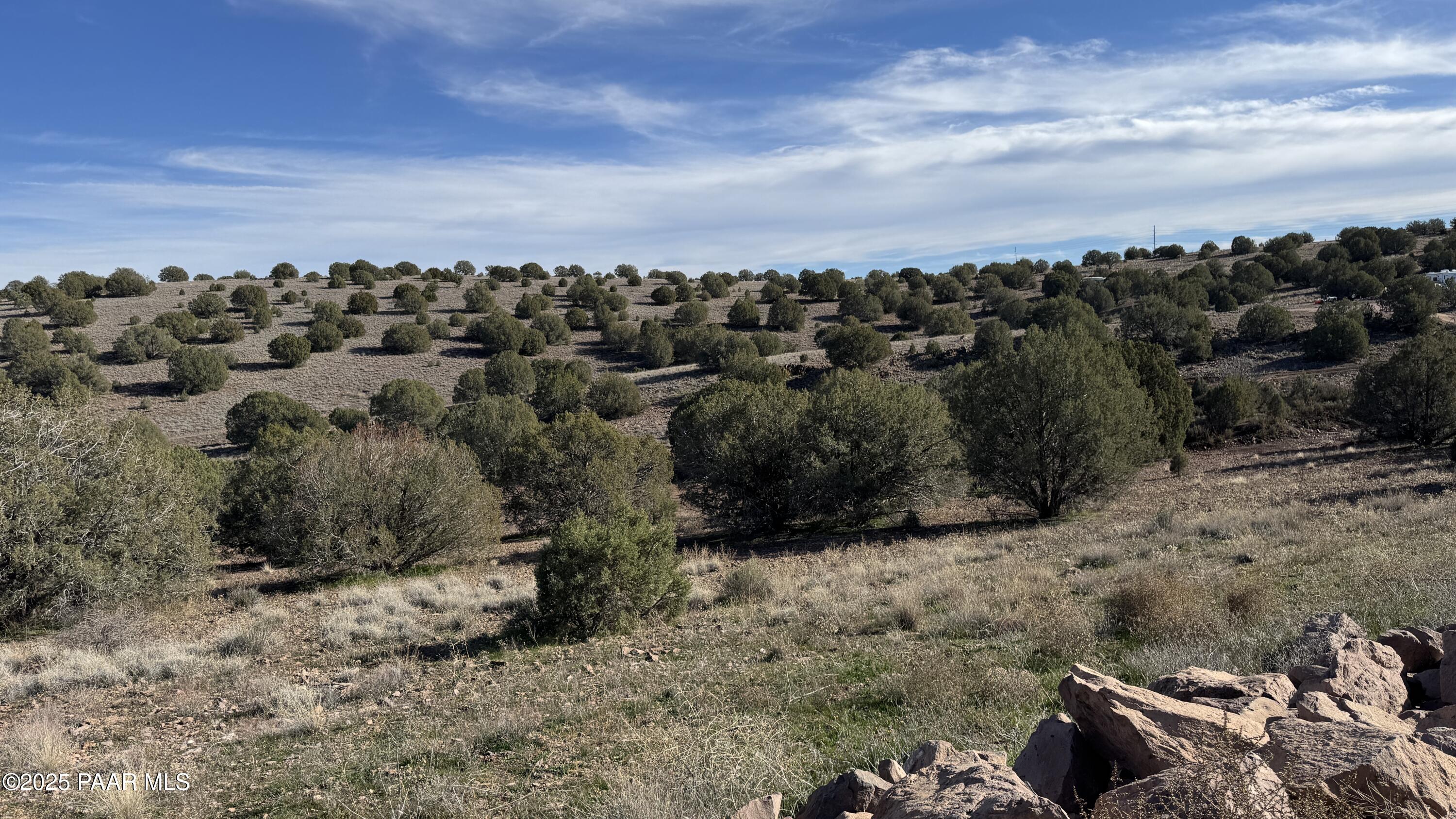 0 North Gray Gos Road Chino Valley, AZ 86323 - Photo 3 of 8 a view of a dry yard with trees