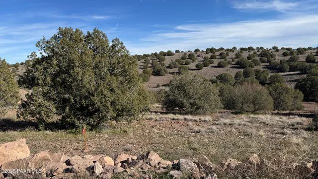 $50,000 | 0 North Gray Gos Road, Chino Valley, AZ 86323
