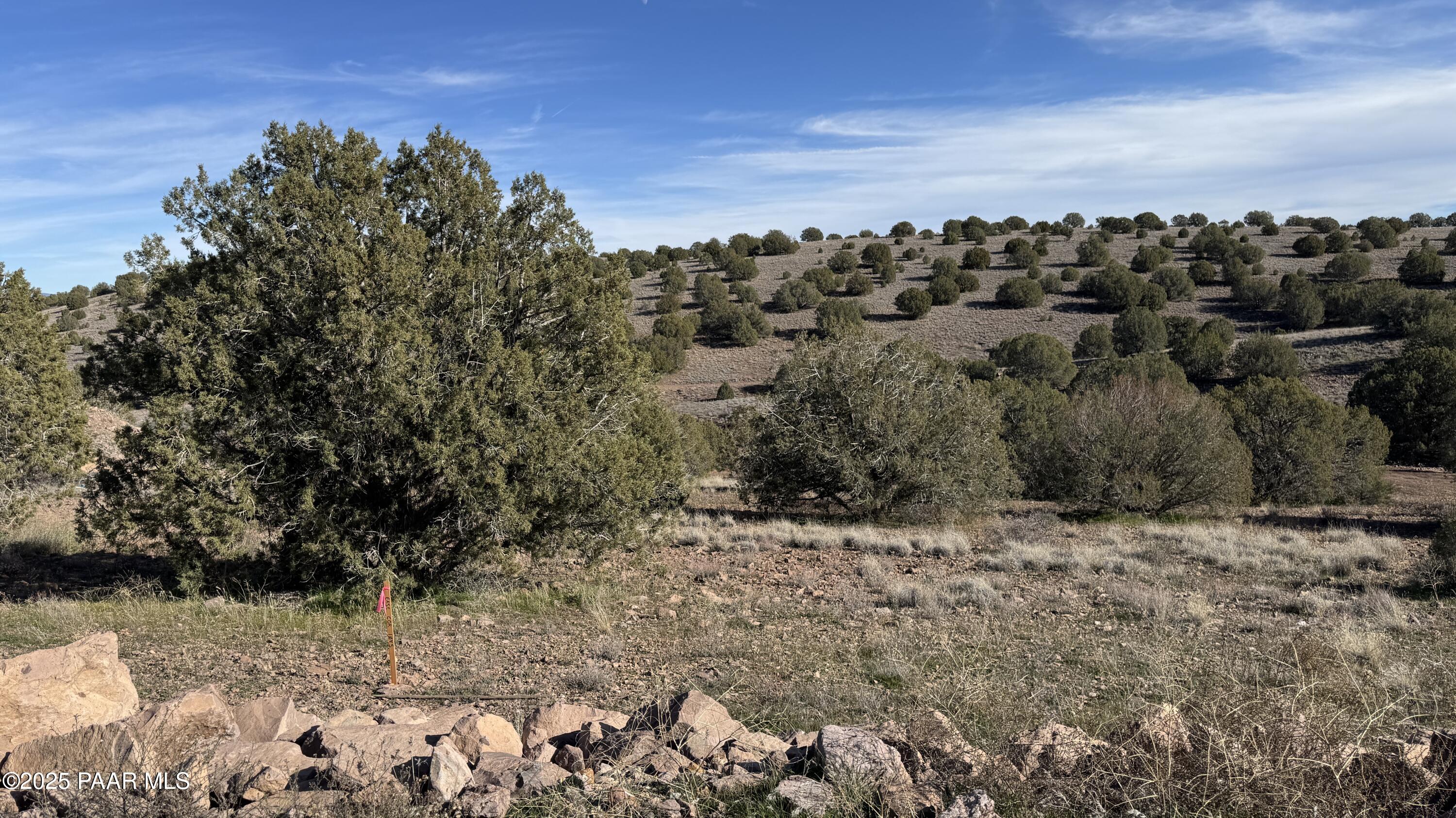0 North Gray Gos Road Chino Valley, AZ 86323 - Photo 4 of 8 a view of a dry yard with trees
