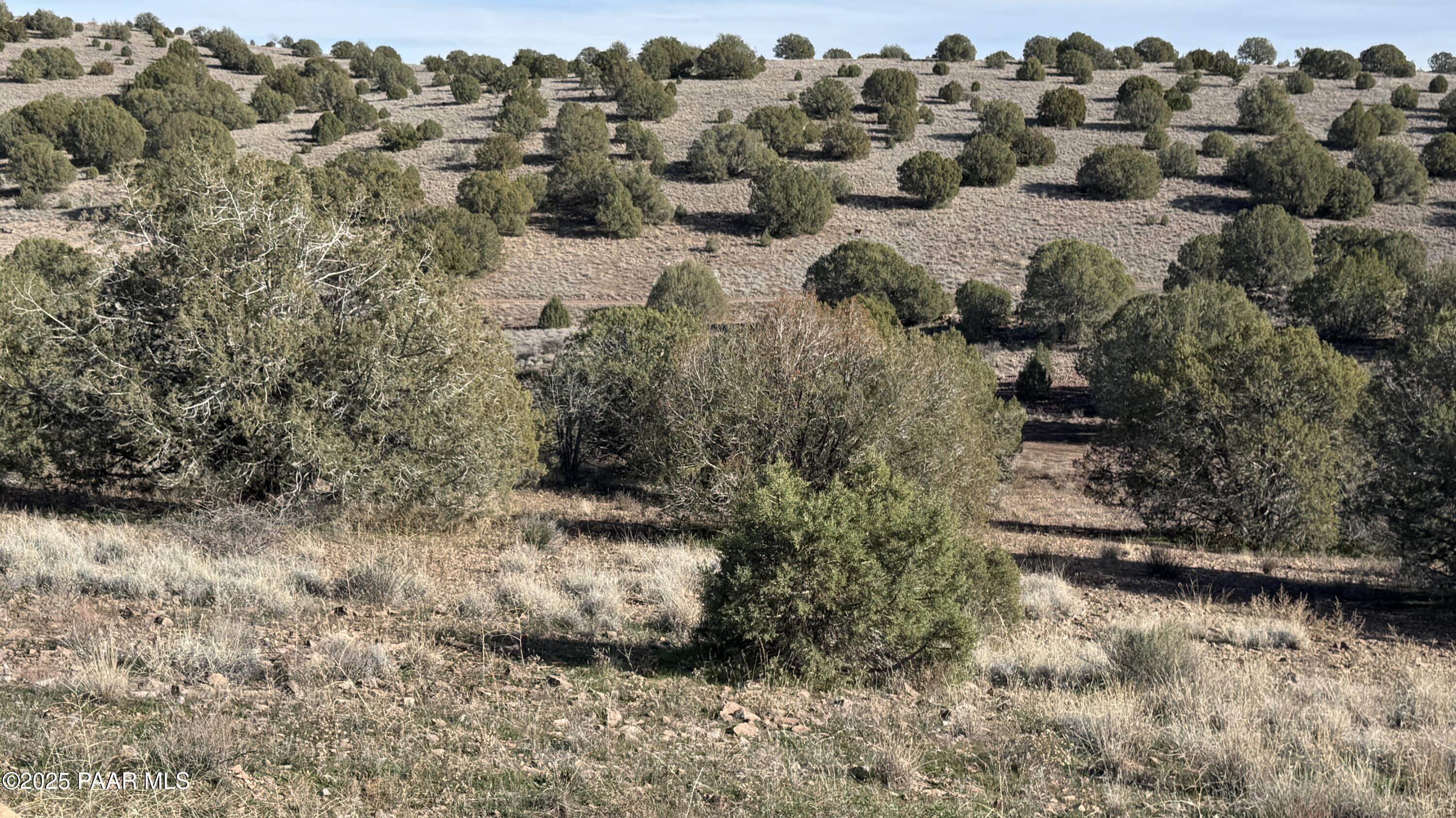 0 North Gray Gos Road Chino Valley, AZ 86323 - Photo 6 of 8 a view of a lake with lots of trees