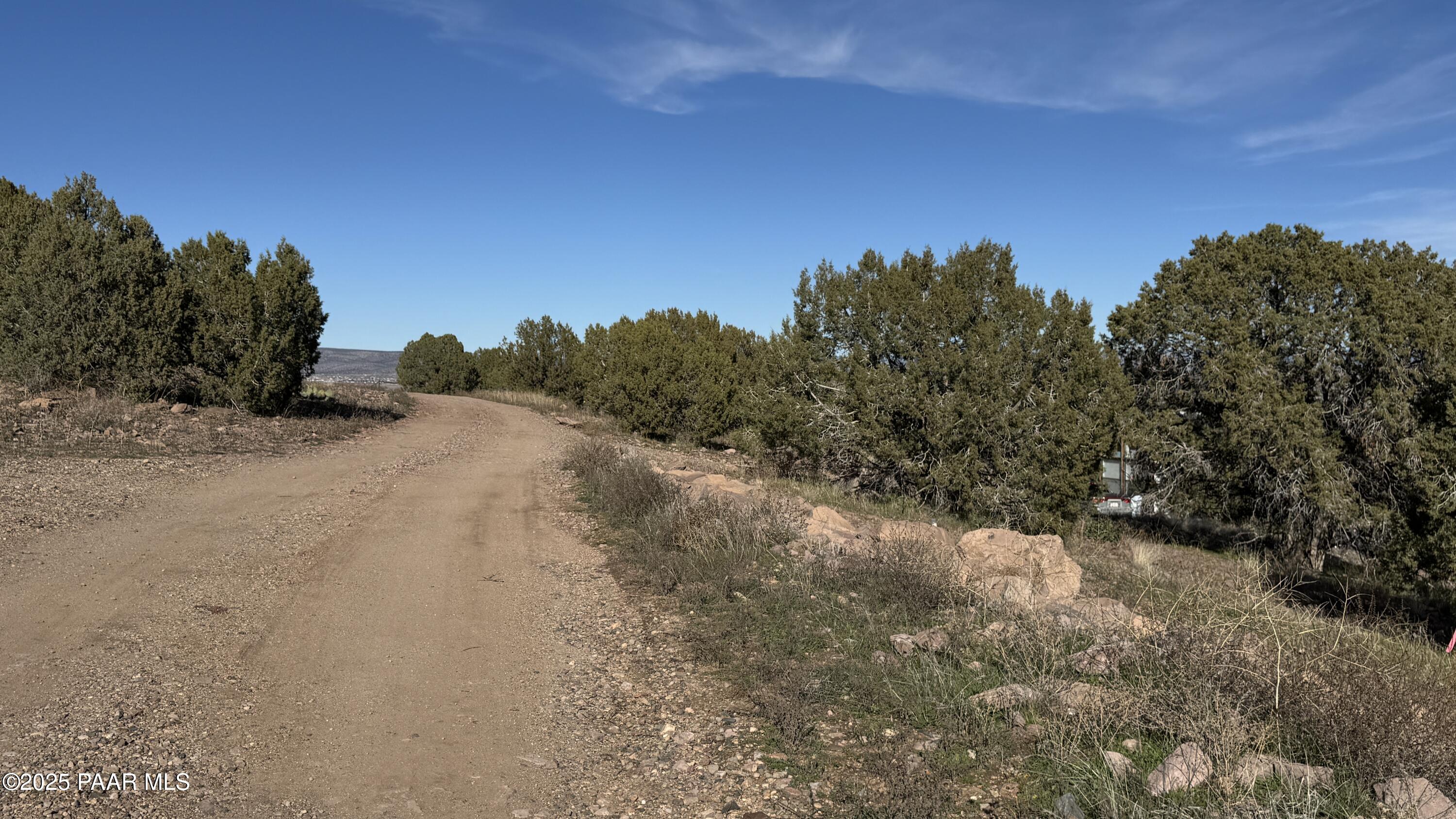 0 North Gray Gos Road Chino Valley, AZ 86323 - Photo 7 of 8 a view of a dry yard with trees in the background