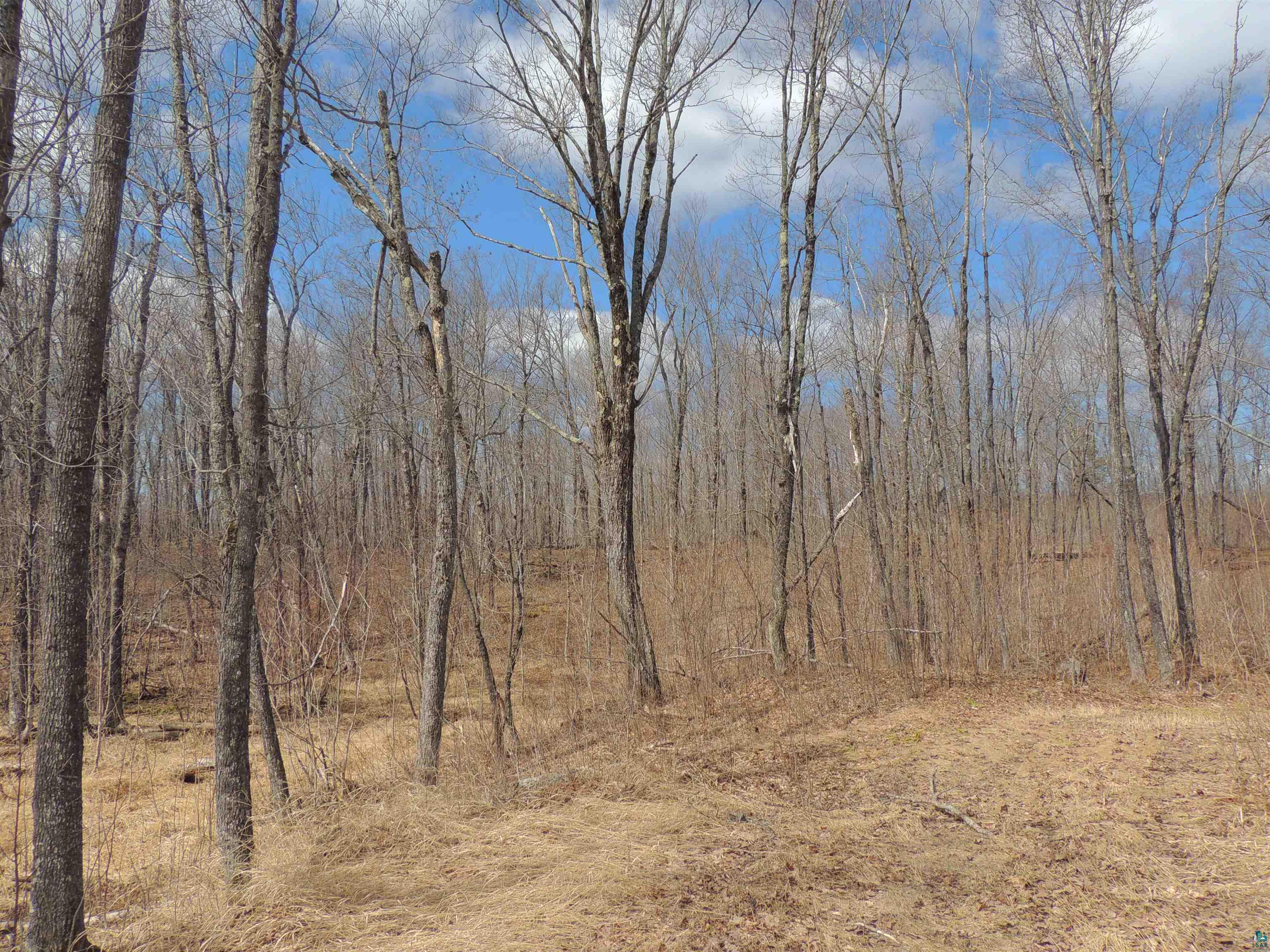 Xxx Springdale Road Tofte, MN 55615 - Photo 19 of 36