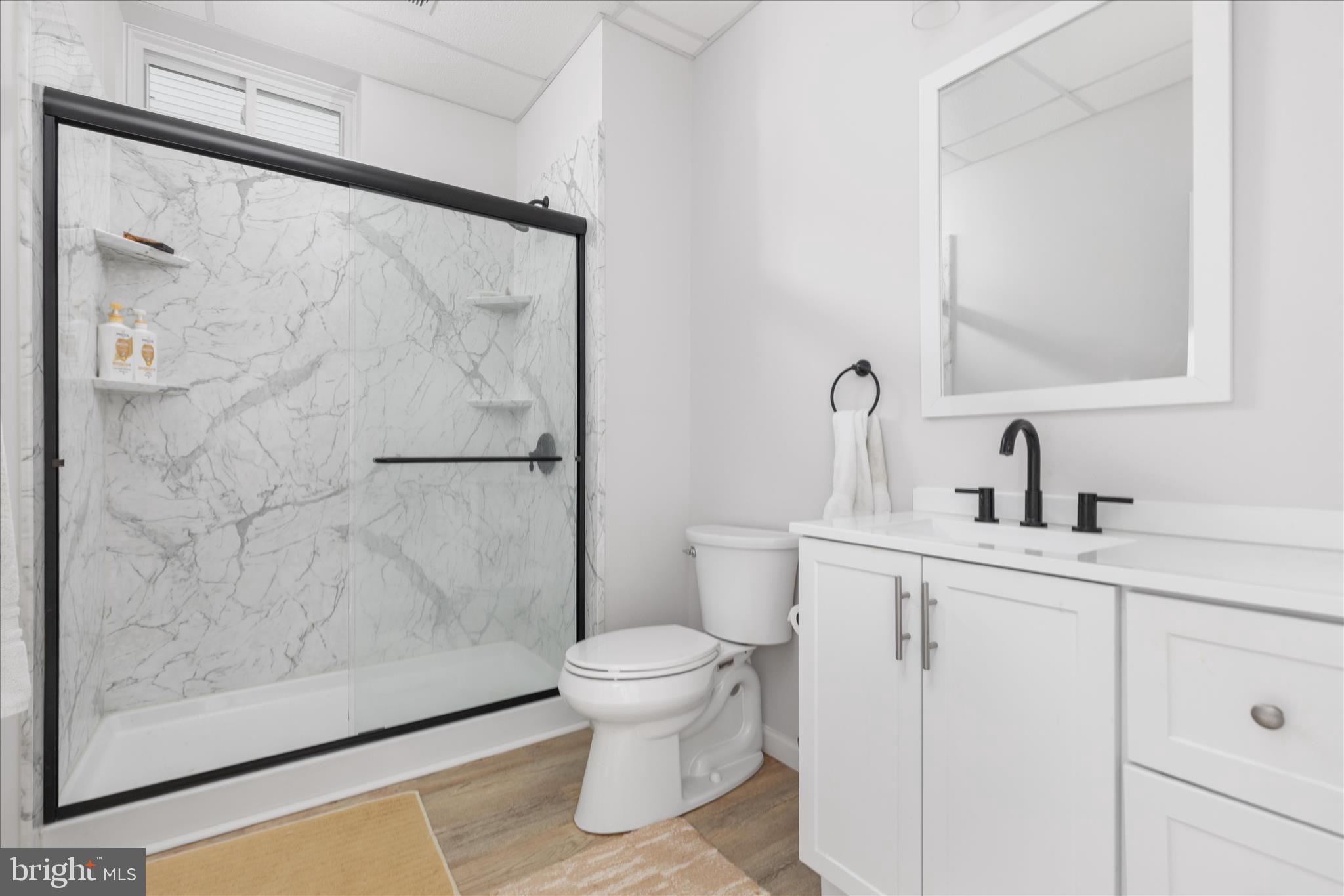 174 Williamson Road Winchester, VA 22602 - Photo 34 of 67 a bathroom with a sink a toilet and shower