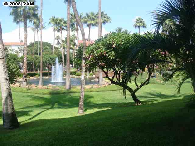 a view of a backyard with a garden