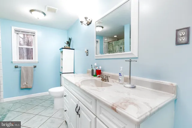 a bathroom with a sink a toilet and mirror