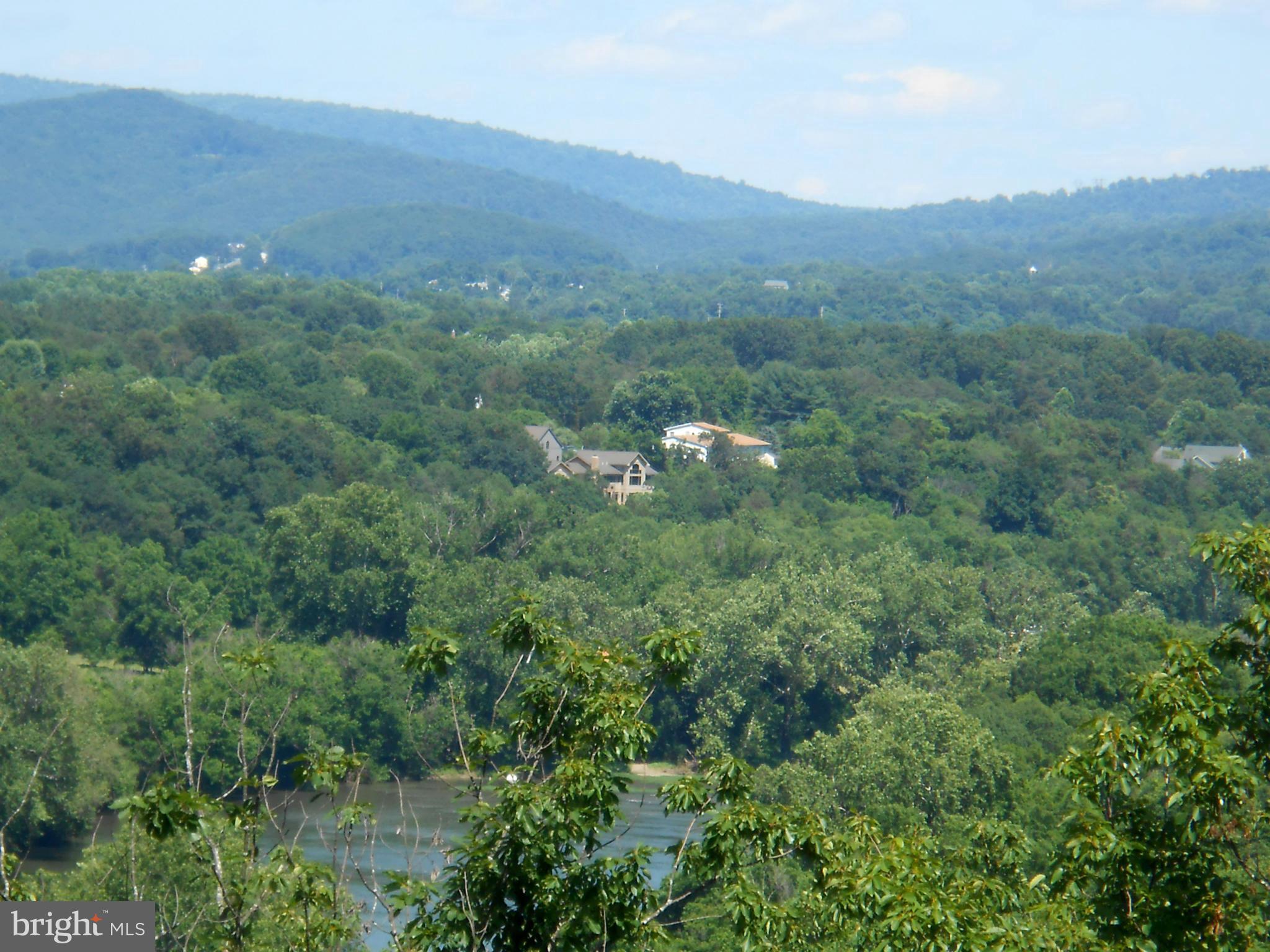Martin Road Front Royal, VA 22630 - Photo 2 of 5 a view of a lush green forest with trees in the background