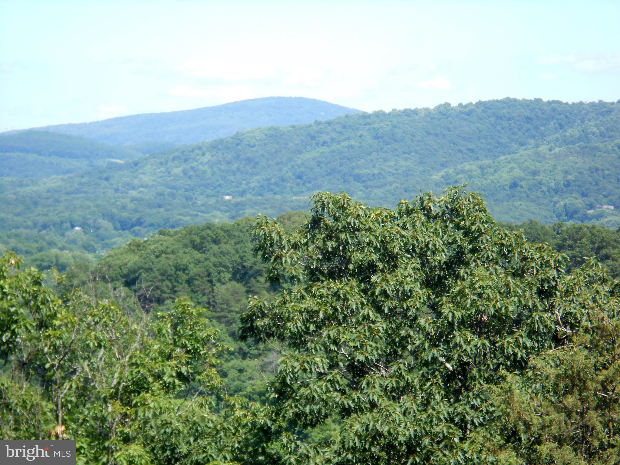 Martin Road Front Royal, VA 22630 - Photo 3 of 5 a view of a mountain range with lush green forest