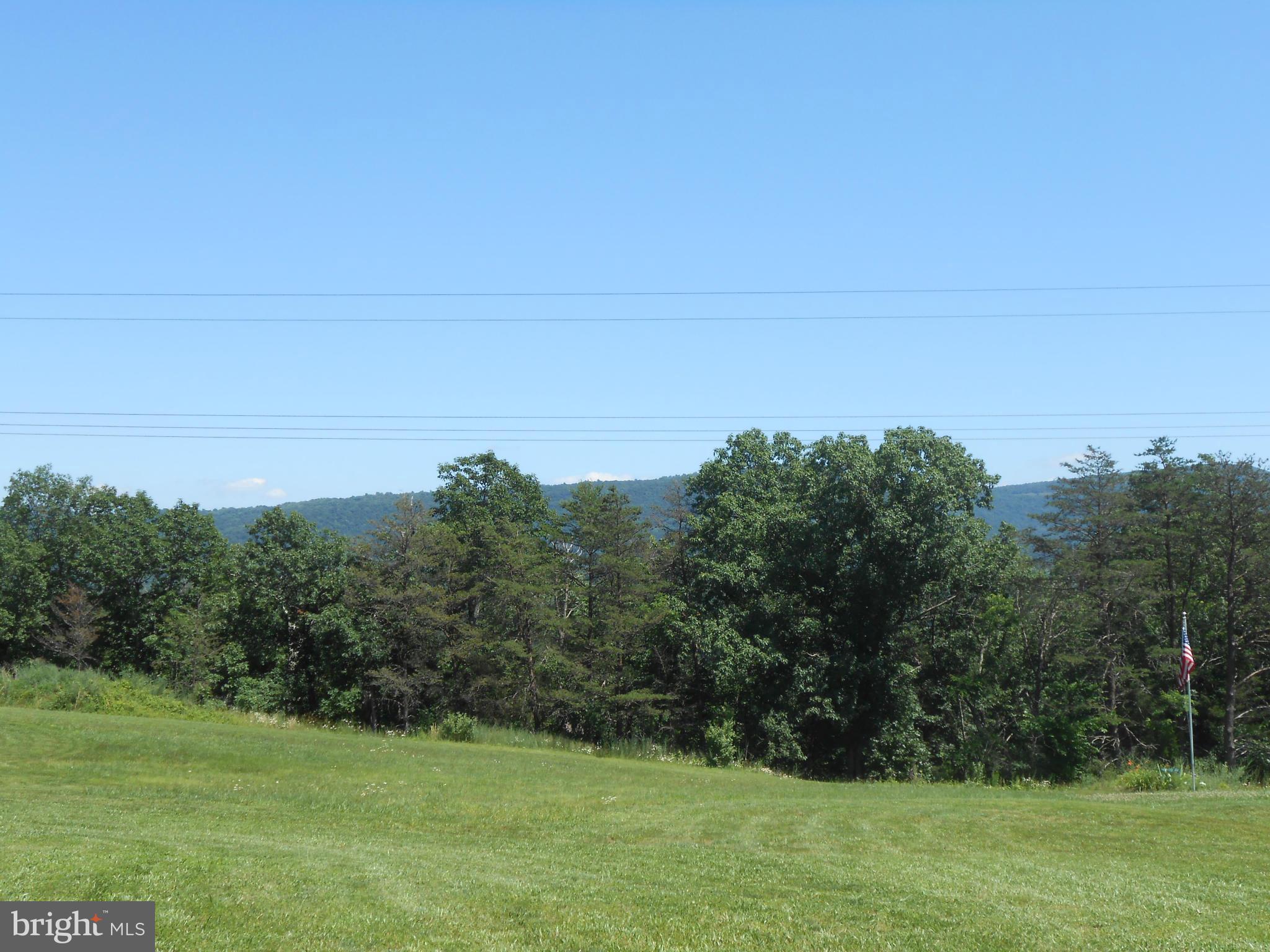 Martin Road Front Royal, VA 22630 - Photo 4 of 5 a view of a grassy field with trees