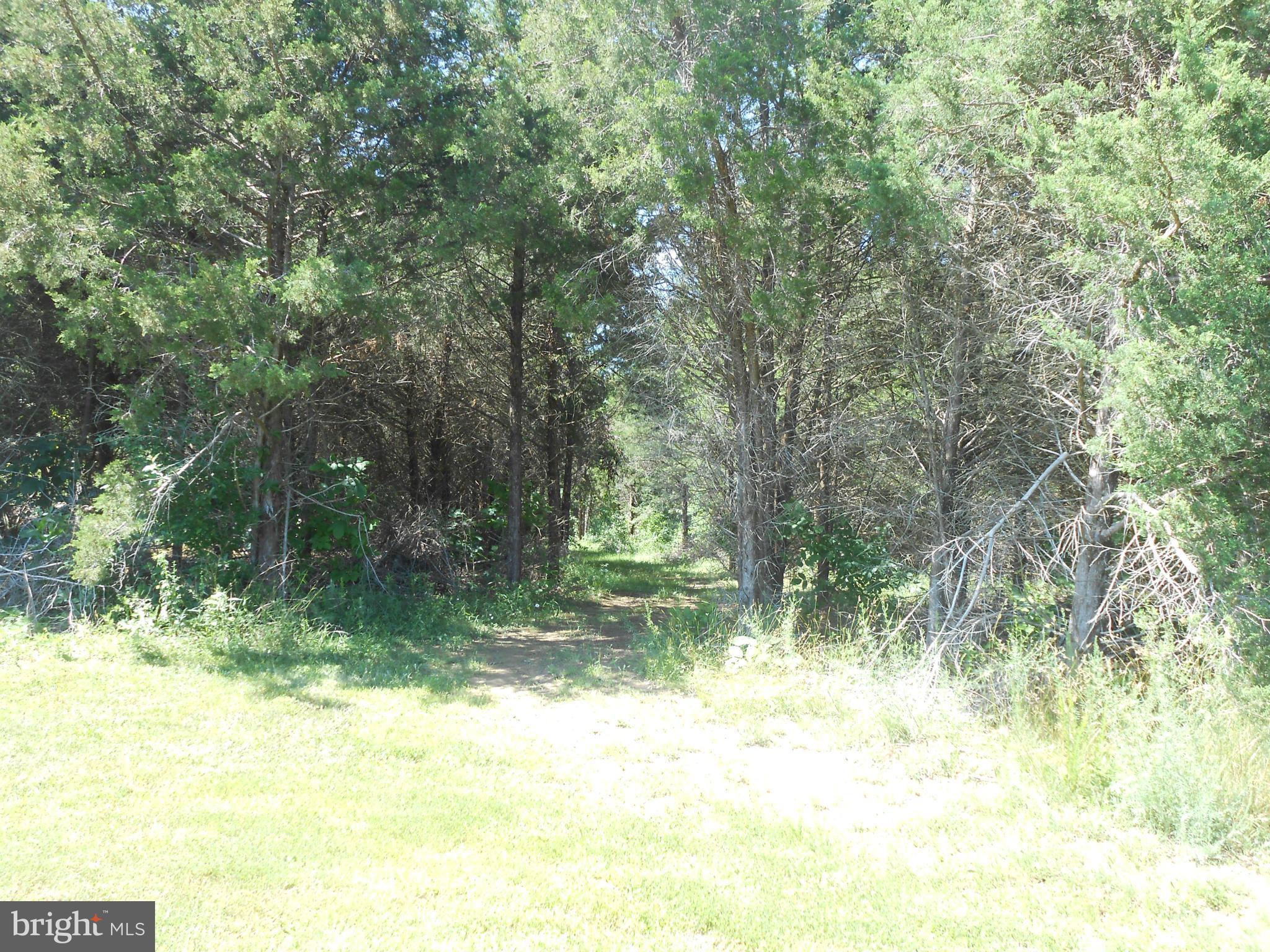 Martin Road Front Royal, VA 22630 - Photo 5 of 5 a view of a garden with a tree